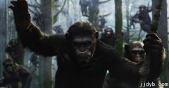 猩球崛起-黎明之战：动物庄园中权力的游戏